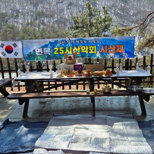 피드 이미지
