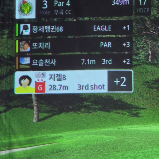 피드 이미지
