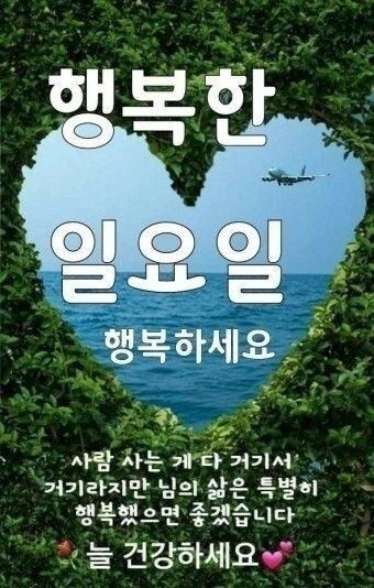 피드에 업로드 된 이미지