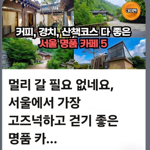 피드 이미지