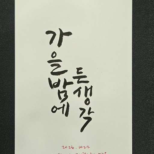 피드 이미지