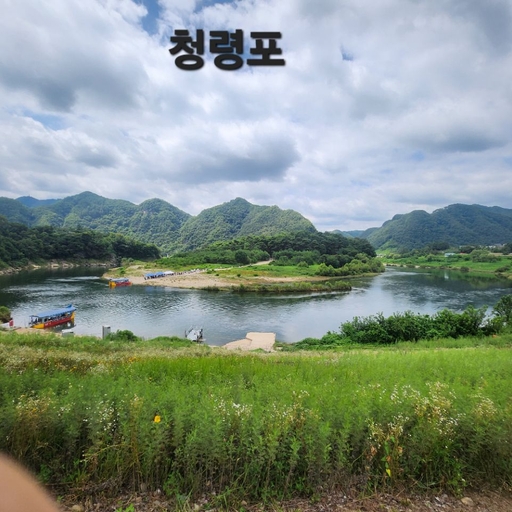피드 이미지