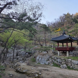 피드에 업로드 된 이미지