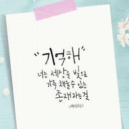 피드에 업로드 된 이미지