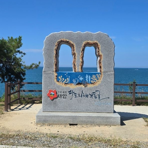 피드 이미지