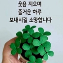 유저 프로필