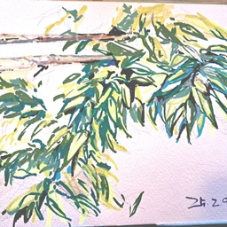 피드에 업로드 된 이미지