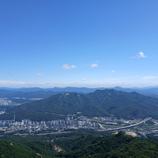 피드 이미지