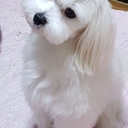 멤버 프로필
