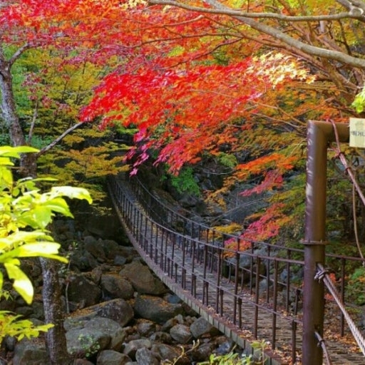 모임 대표 이미지