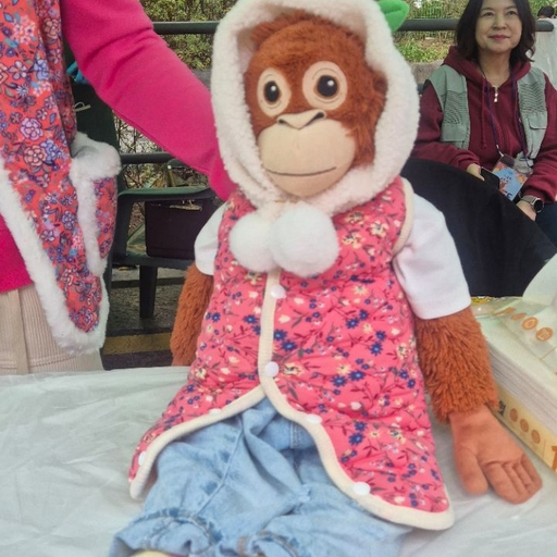 피드 이미지