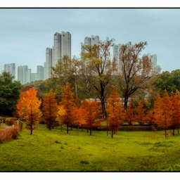 피드에 업로드 된 이미지