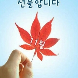 피드에 업로드 된 이미지