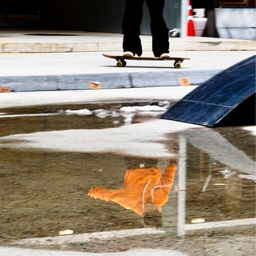 피드에 업로드 된 이미지