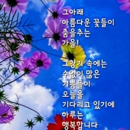 피드에 업로드 된 이미지