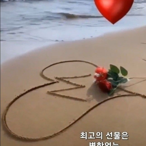 피드 이미지