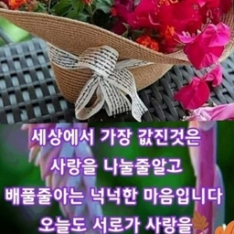 피드에 업로드 된 이미지