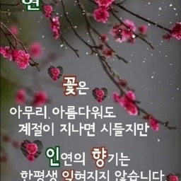 피드에 업로드 된 이미지