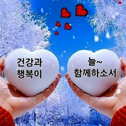 피드에 업로드 된 이미지