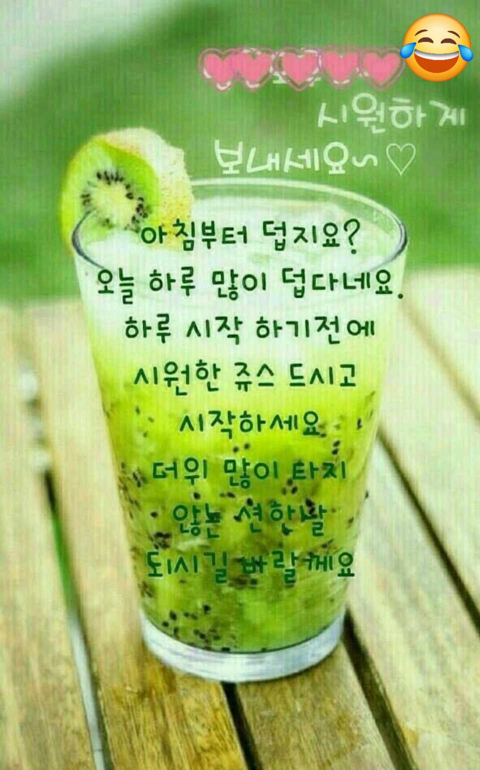 피드 이미지