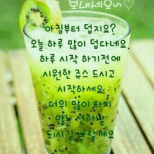 피드 이미지