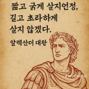 피드 작성자 프로필