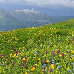 피드에 업로드 된 이미지