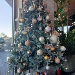 피드에 업로드 된 이미지