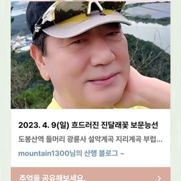 피드에 업로드 된 이미지