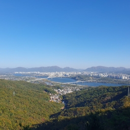 피드에 업로드 된 이미지
