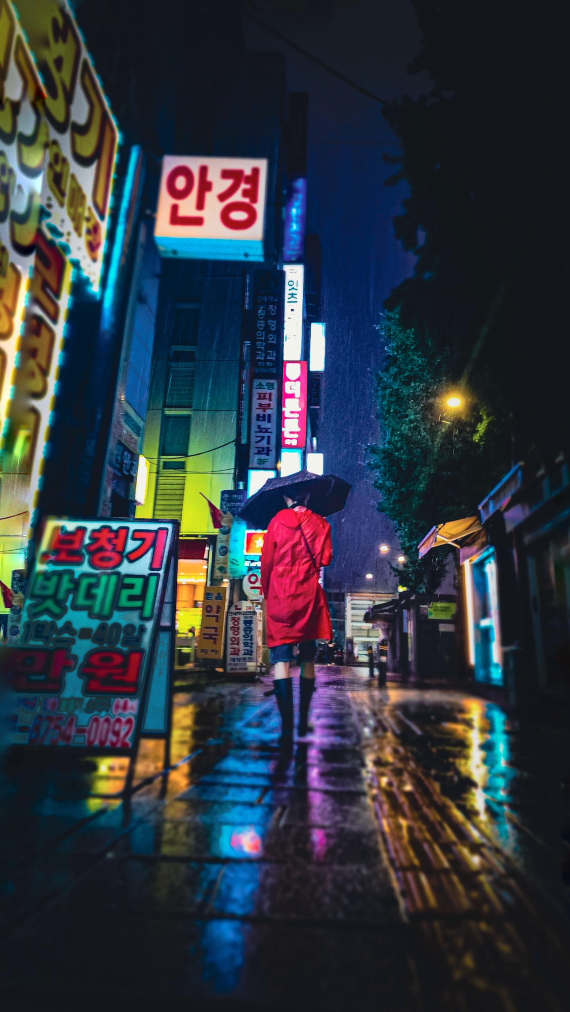 피드 이미지