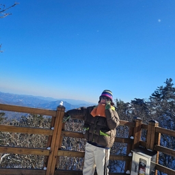 피드에 업로드 된 이미지