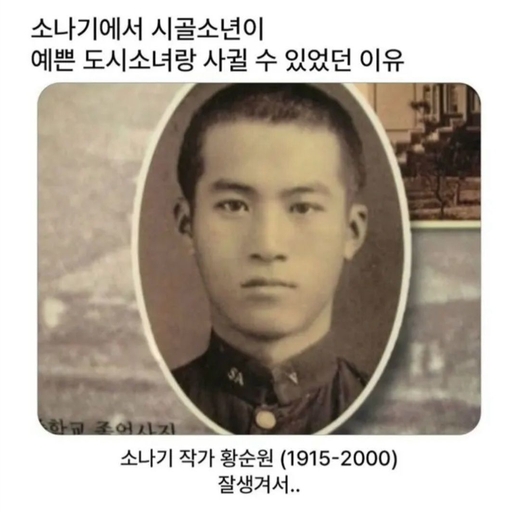 피드 이미지