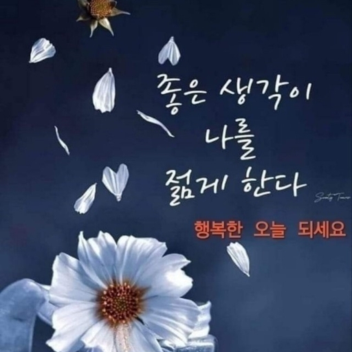 피드 이미지