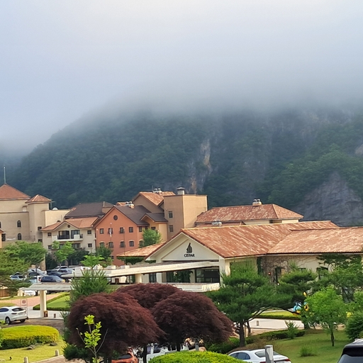 모임 대표 이미지