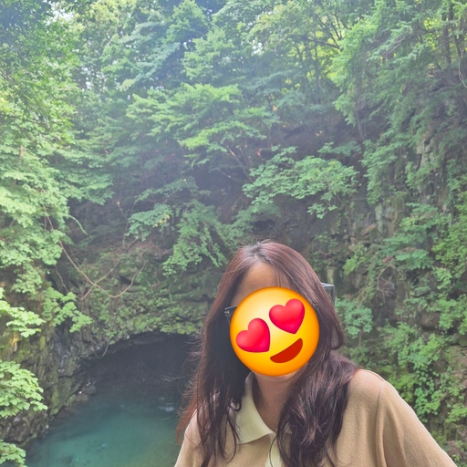 피드 이미지