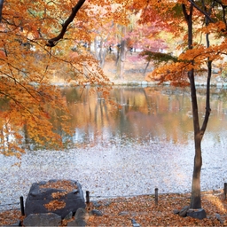 피드에 업로드 된 이미지