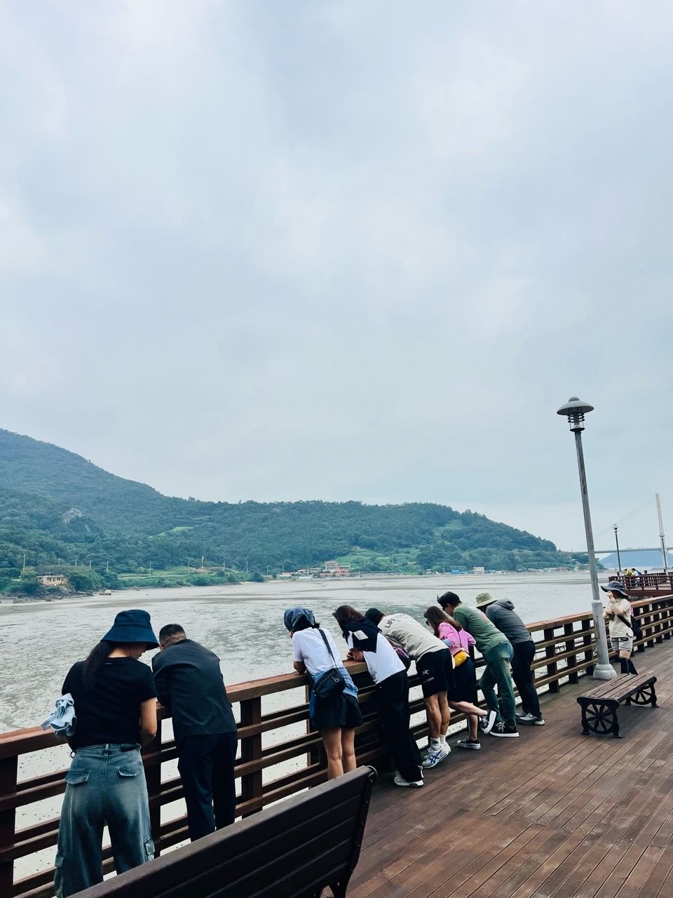 피드 이미지