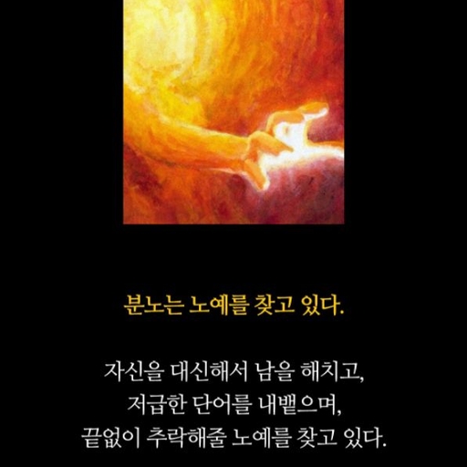 피드 이미지