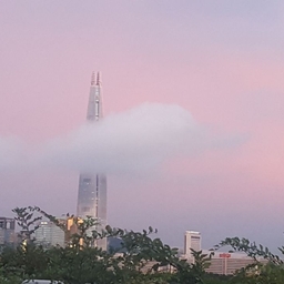 피드에 업로드 된 이미지