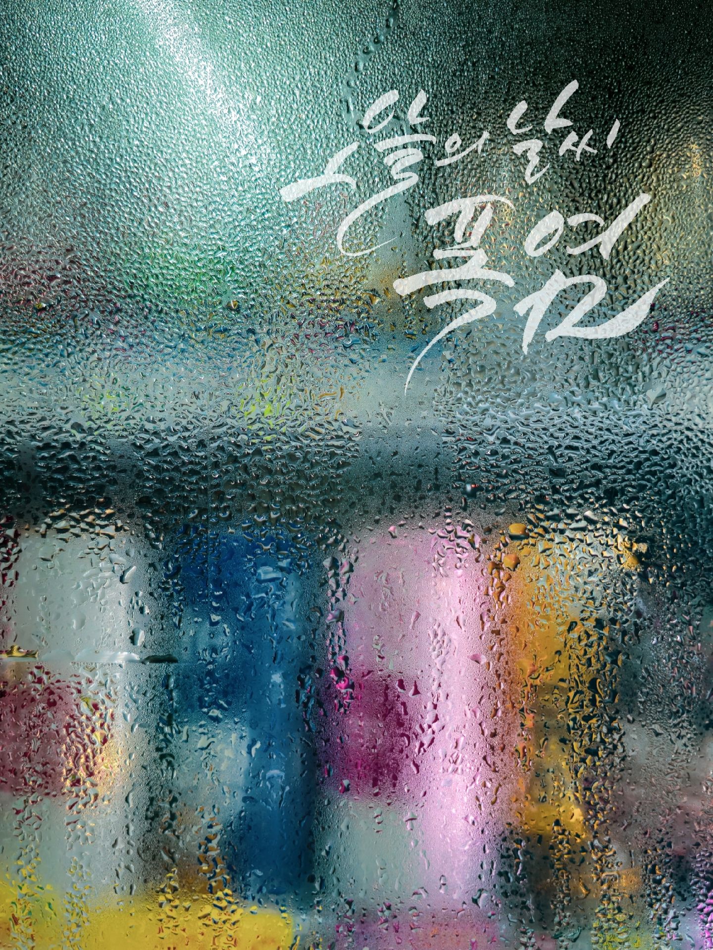피드 이미지