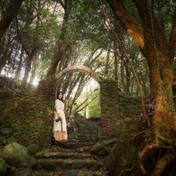 피드에 업로드 된 이미지