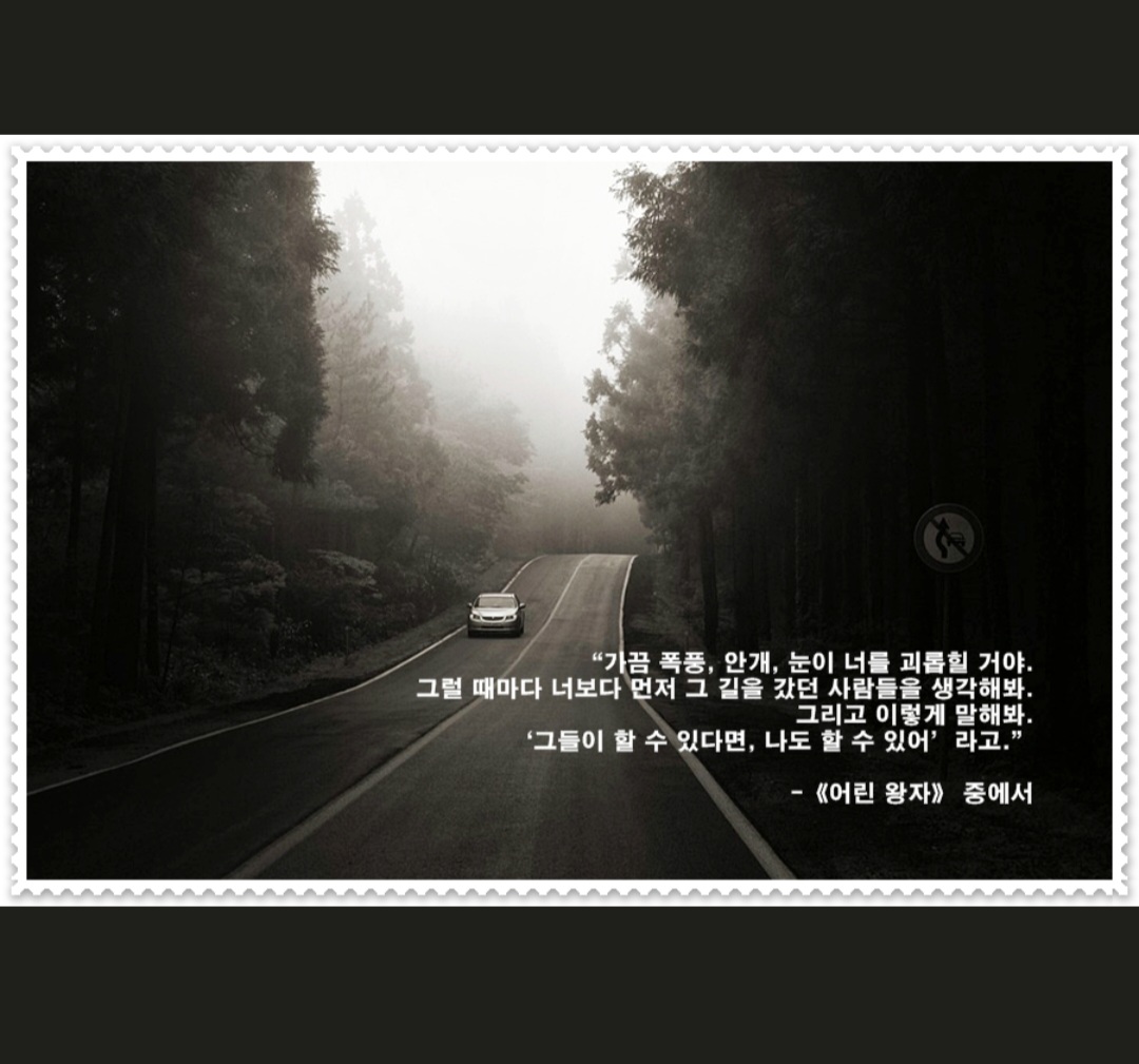 피드 이미지