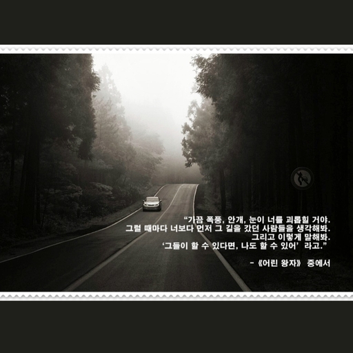 피드 이미지