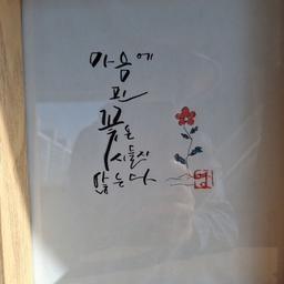 피드에 업로드 된 이미지