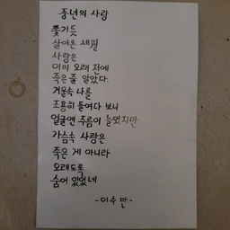 피드에 업로드 된 이미지