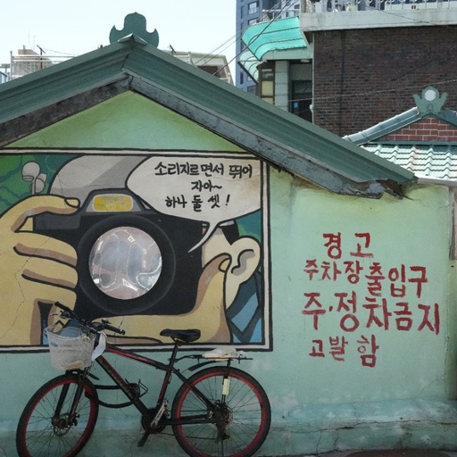 피드 이미지