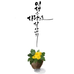 피드에 업로드 된 이미지