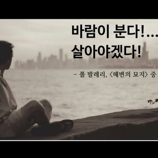 피드 이미지