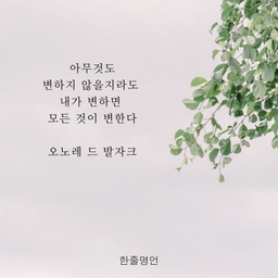 피드에 업로드 된 이미지